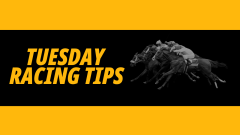 Timeform horse racing tips